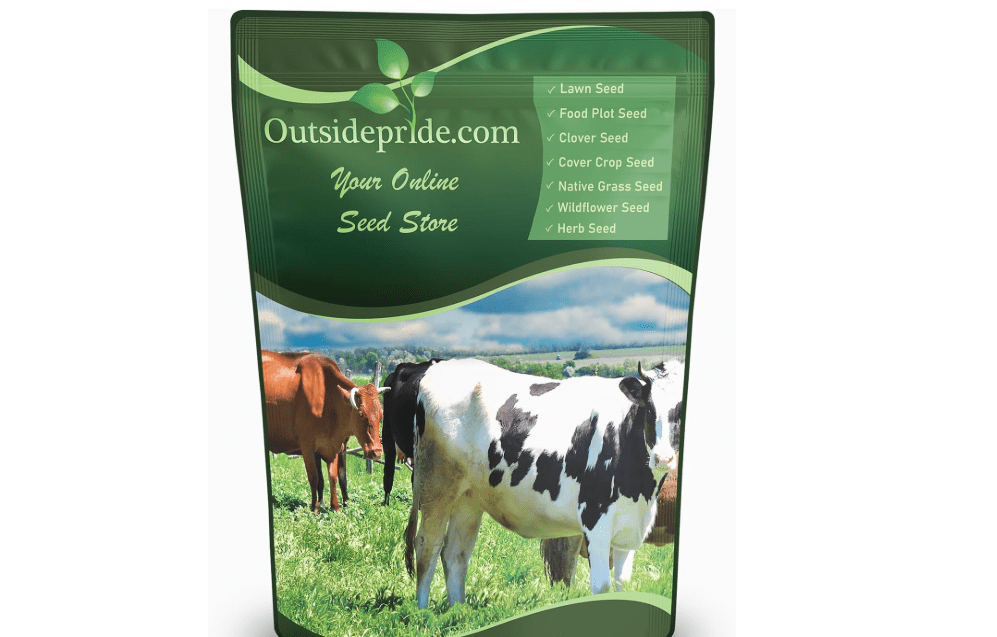 
Outsidepride Forage Bermuda Seeds - 40 lb. Perennial, Drought Tolerant & Fast-Growing, Pasture Seeds for Planting Large Grass Leaves, Ideal for Hay.
