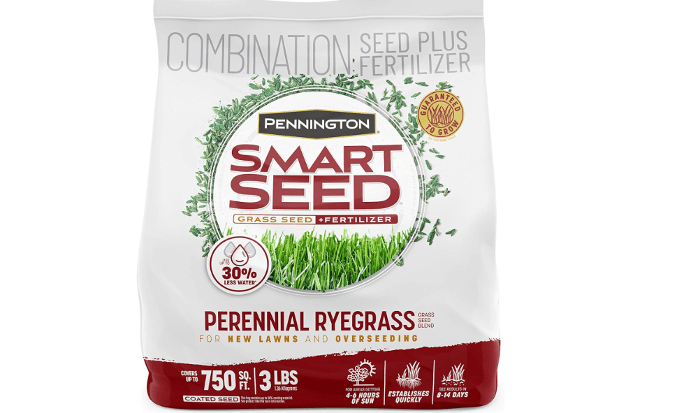 Pennington Smart Seed Perennial Rye 3 Lb, Perennial Ryegrass Seed