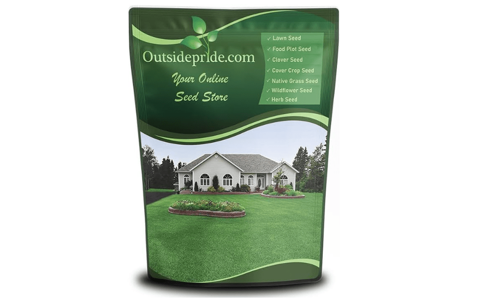 Outsidepride Perennial Buffalo Grass Seed - 2 lbs Heat & Drought Tolerant, Low Maintenance, Warm Season Dense Turf Grass Seed for Lawn, Xeriscape
