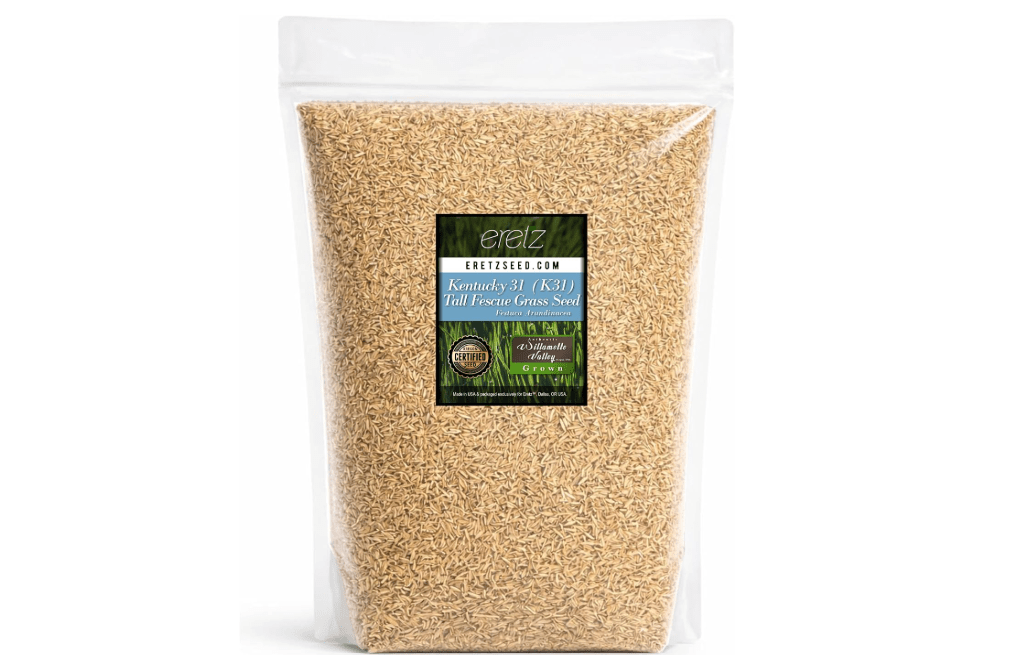 Kentucky 31 K31 Tall Fescue Grass Seed by Eretz - Choose Size! State Certified, No fillers, No Weed or Other Crop Seeds (5lbs