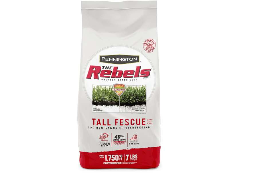  Pennington The Rebels Tall Fescue Grass Seeds for Lawn, 7 lb | High traffic grass seed, shade grass seed for 4 to 6 hours of sunlight