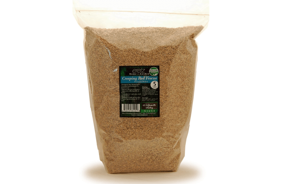  Creeping Red Fine Fescue Seed by Eretz (5lb) - Choose Size! Willamette Valley Oregon Grown, No Fillers, No Weed or Other Crop Seeds, Premium Shade