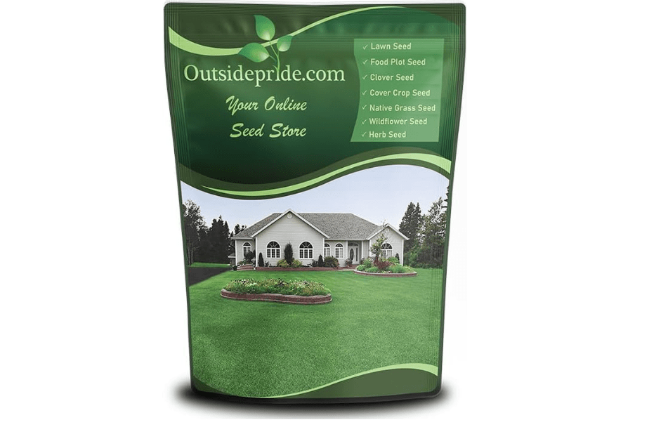 Outsidepride Perennial Buffalo Grass Seed - 2 lbs Heat & Drought Tolerant, Low Maintenance, Warm Season Dense Turf Grass Seed for Lawn