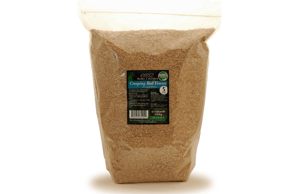 Creeping Red Fine Fescue Seed by Eretz (5lb) - Choose Size! Willamette Valley Oregon Grown, No Fillers, No Weed or Other Crop Seeds, Premium Shade