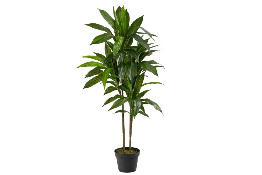 Nearly Natural 48 in Artificial Dracaena Real Touch Plant with Pot | Multi-Tonal Trunks, Large Indoor Silk Plant, Maintenance-Free, Living Room