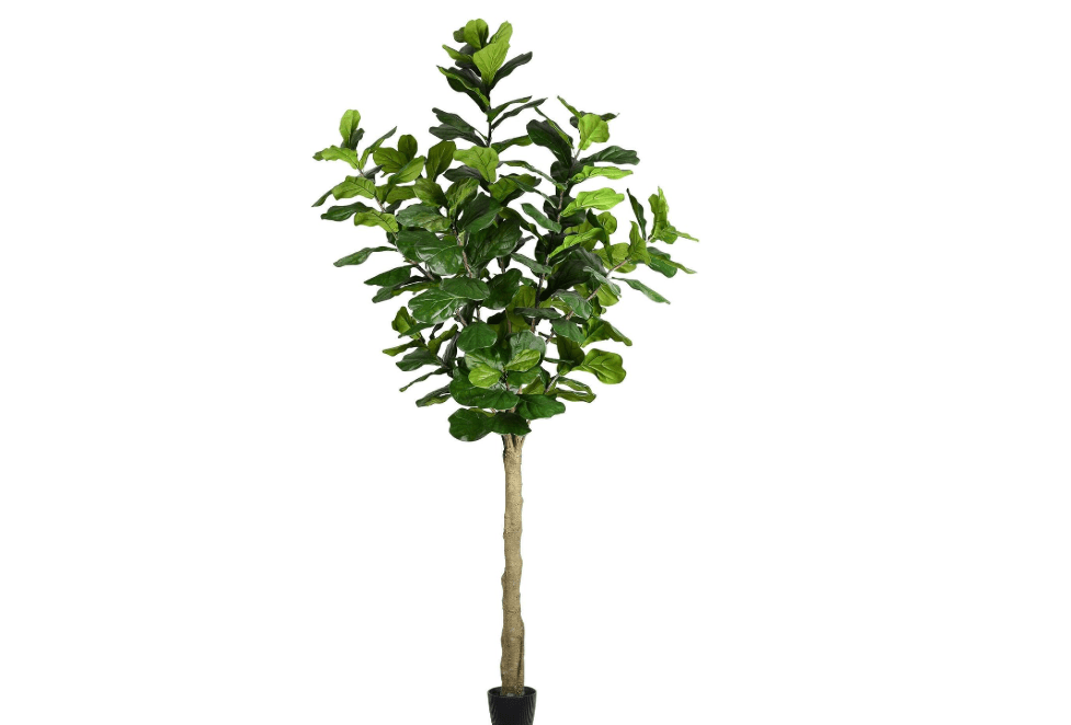 Vickerman 10' Artificial Potted Fiddle Tree, 184 Leaves, Faux Fiddle Leaf Fig for Indoor Decor, Maintenance-Free, Realistic