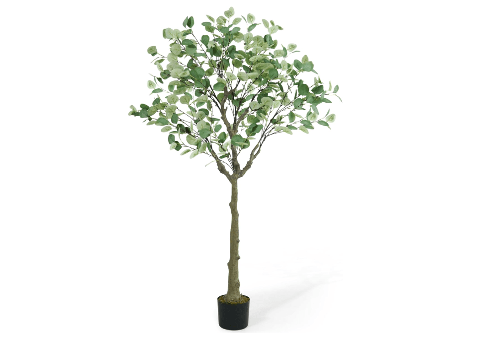 CAPHAUS 5FT Artificial Eucalyptus Tree (60 Inch) - UV Resistant, Realistic Faux Plant with Dried Moss, Low Maintenance Decor for Home, Patio