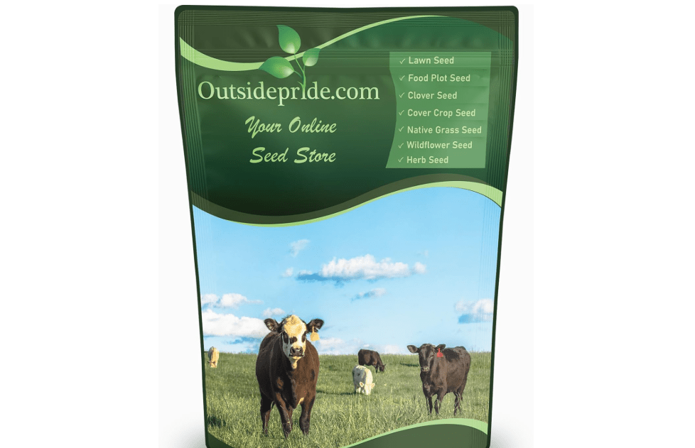 
Outsidepride Perennial Ryegrass Seeds - 50 lb. Hardy & Fast-Growing, Cover Crop Seeds for Planting Glossy Dark Green Grass Leaves, Ideal for Hay