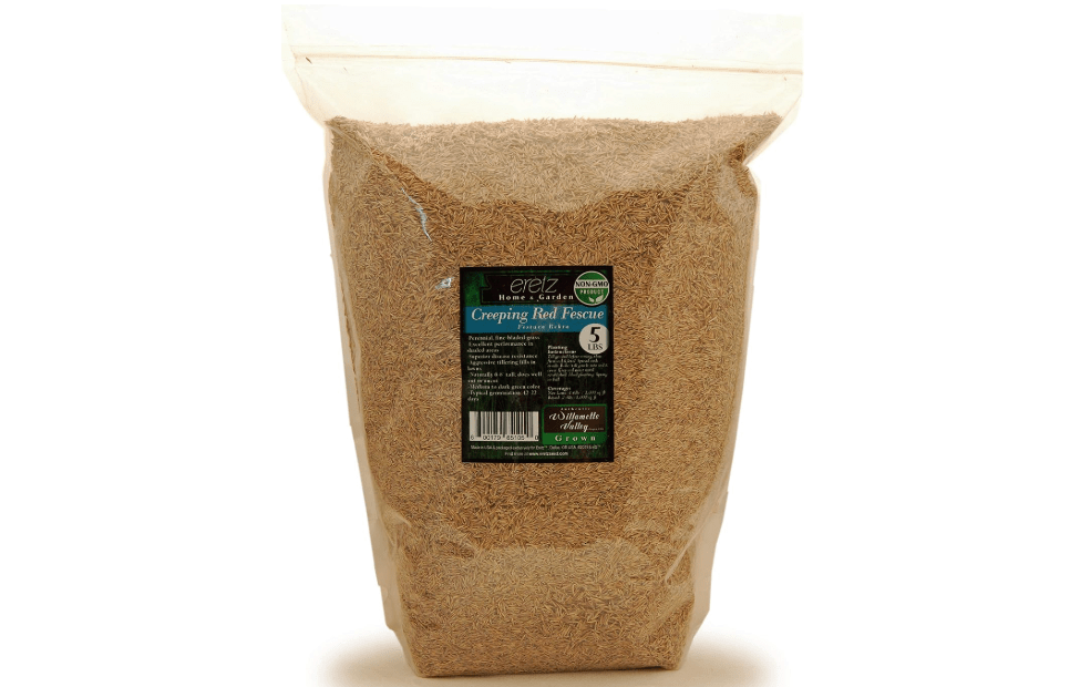Creeping Red Fine Fescue Seed by Eretz (5lb) - Choose Size! Willamette Valley Oregon Grown, No Fillers, No Weed or Other Crop Seeds, Premium Shade
