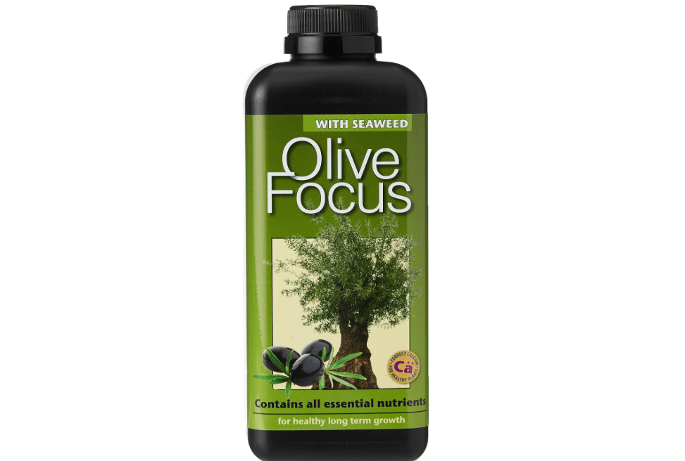 Olive Focus 1 Litre. Specially formulated Liquid Plant Food for Olives