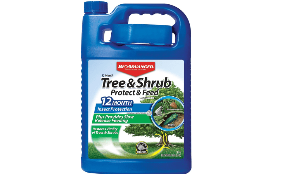 BioAdvanced 12 Month Tree & Shrub Protect and Feed Concentrate