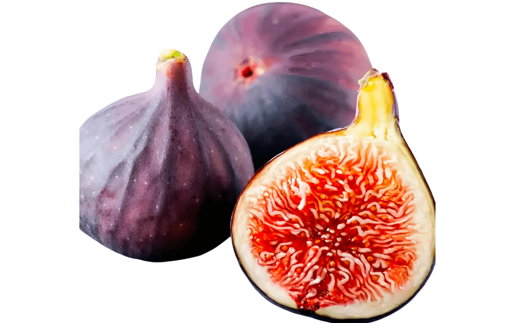 Little Miss Figgy Dwarf Fig Tree, Compact Indoor Outdoor Plant, Fresh Purple Fruit, Live Potted Garden Plant (3 Gallon/Potted/Single