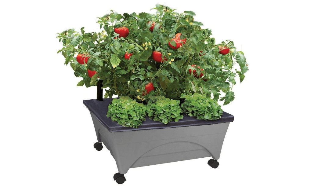 
Emsco Group City Picker Raised Bed Grow Box – Self Watering and Improved Aeration – Mobile Unit with Casters