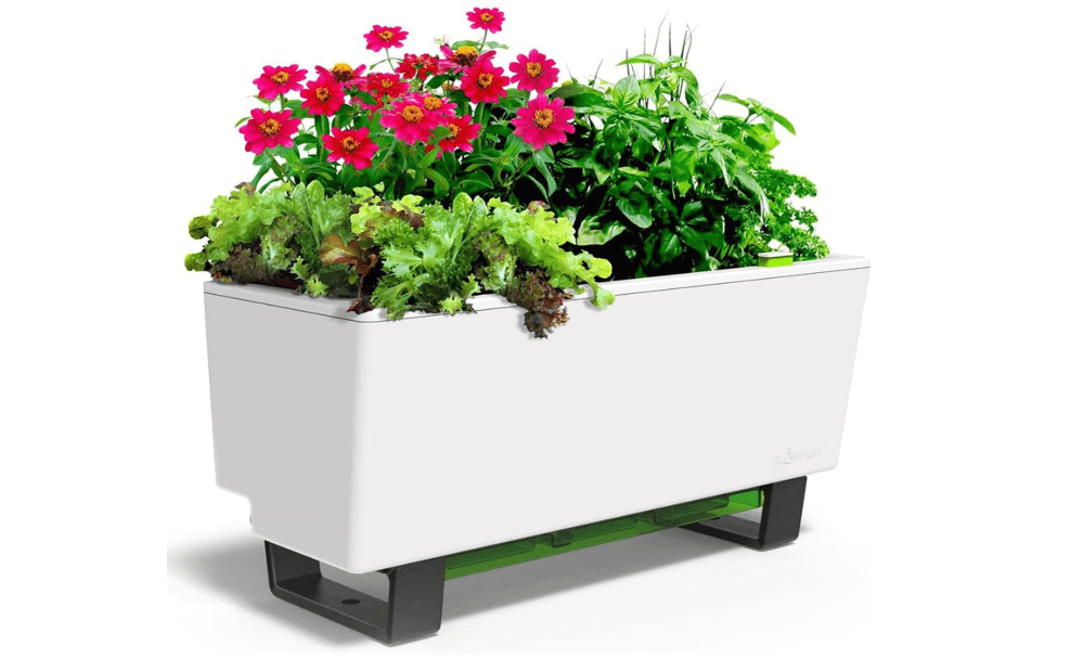 
Glowpear Self-Watering Mini Bench Planter - 23.6" in Pot, Free Standing, UV Stable, Scalable, Indoor | Outdoor Pot with Water Gauge, for Home Kitchen