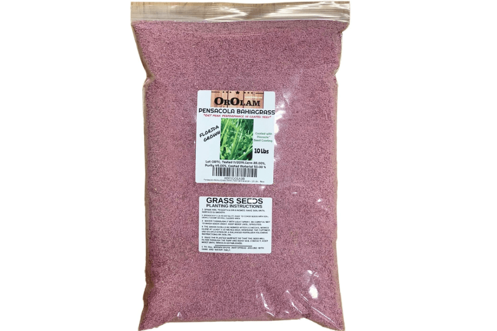SeedRanch Pensacola Bahia Grass Seed - 10 Lbs. by SeedRanch