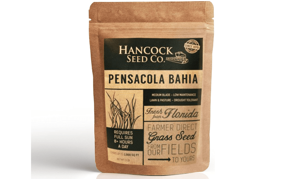 Hancock Raw Pensacola Bahia Grass Seeds for Lawn and Pastures with Sandy Soil & Warm Climates