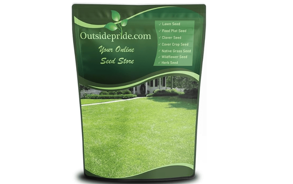Outsidepride Centipede Grass Seed - 1 Lb Slow Growing, Shade & Drought Tolerant, Coarse Leaved Warm Season General Purpose Turf Grass Seed,