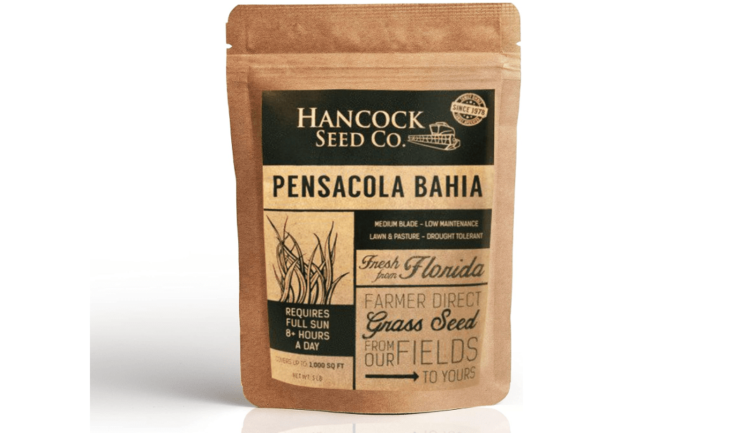 
Hancock Raw Pensacola Bahia Grass Seeds for Lawn and Pastures with Sandy Soil & Warm Climates