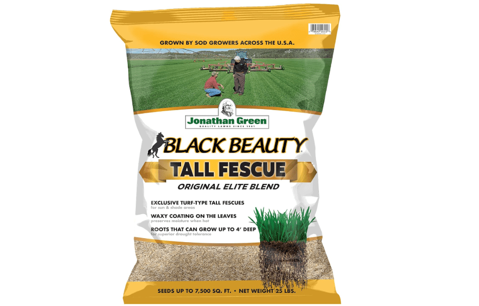 
Jonathan Green Black Beauty Tall Fescue Grass Seed Blend - 25 lb