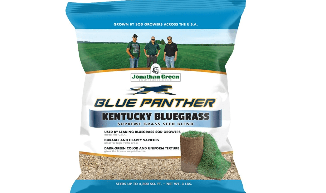 
Jonathan Green Blue Panther Kentucky Bluegrass Grass Seed