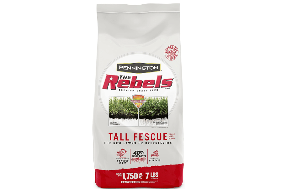 Pennington The Rebels Tall Fescue Grass Seeds for Lawn, 7 lb | Grass seed shade, shade tolerant grass, 4 to 6 hours of sunlight, heavy traffic durability