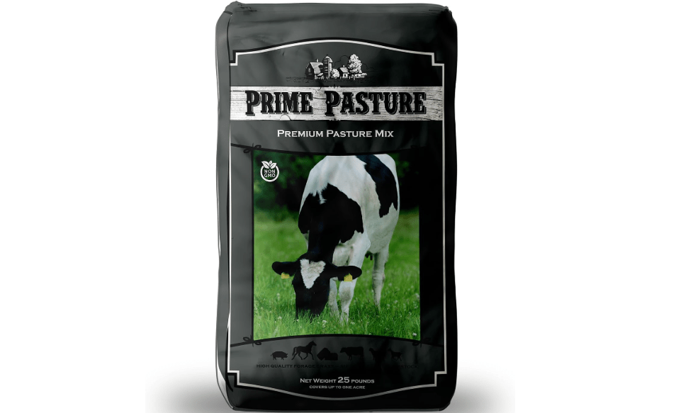 Outsidepride Ryegrass Seeds - 50 lb. Annual, Hardy & Fast-Growing, Cover Crop Seeds for Planting Glossy Dark Green Grass Leaves, Ideal for Hay Foraging