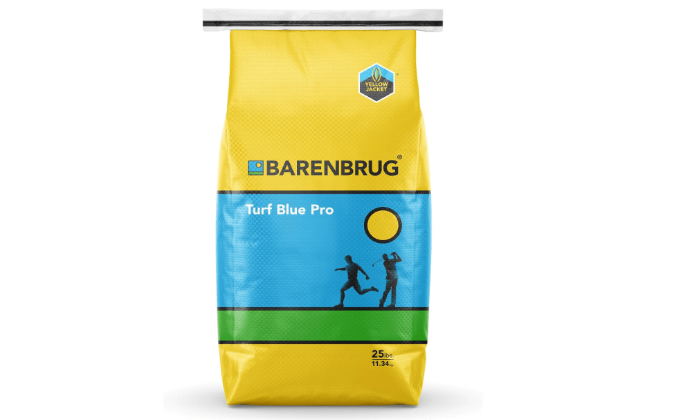 Barenbrug Turf Blue Pro Kentucky Bluegrass Lawn Seed with Yellow Jacket Seed Coating, All-Season Durable Grass Mix for Lawns, 25-lb. Bag