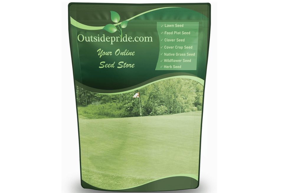 Outsidepride Yukon Bermuda Grass Seed - 5 lbs Cold & High Traffic Tolerant, Premium Hybrid Bermuda Turf Grass Seeds for Lawn, Ideal Low Maintenance