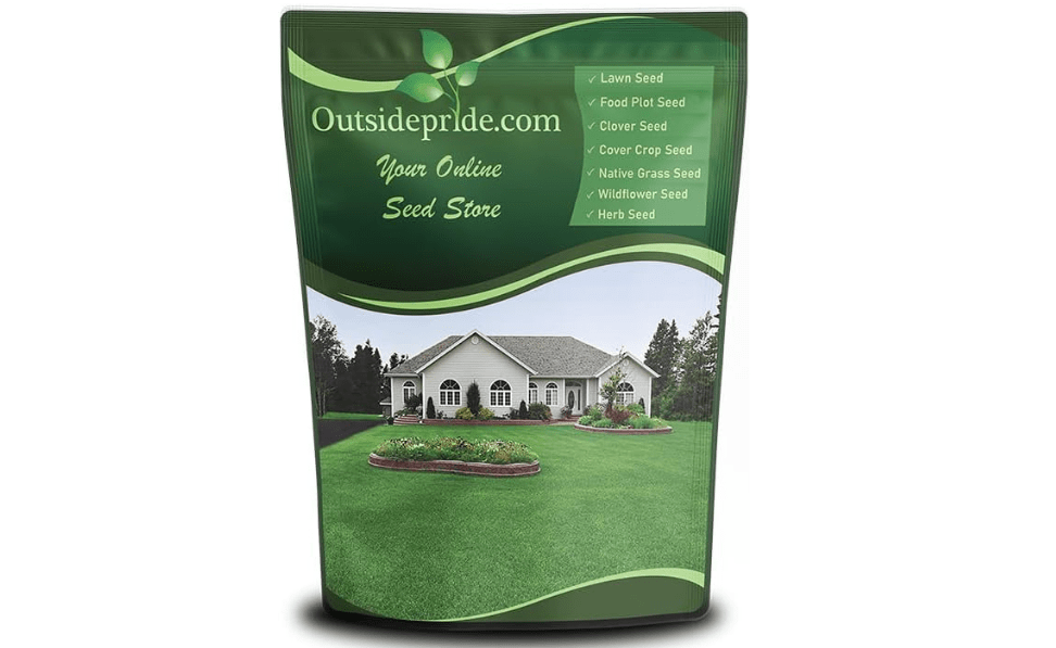Outsidepride Perennial Buffalo Grass Seed - 2 lbs Heat & Drought Tolerant, Low Maintenance, Warm Season Dense Turf Grass Seed for Lawn, Xeriscape