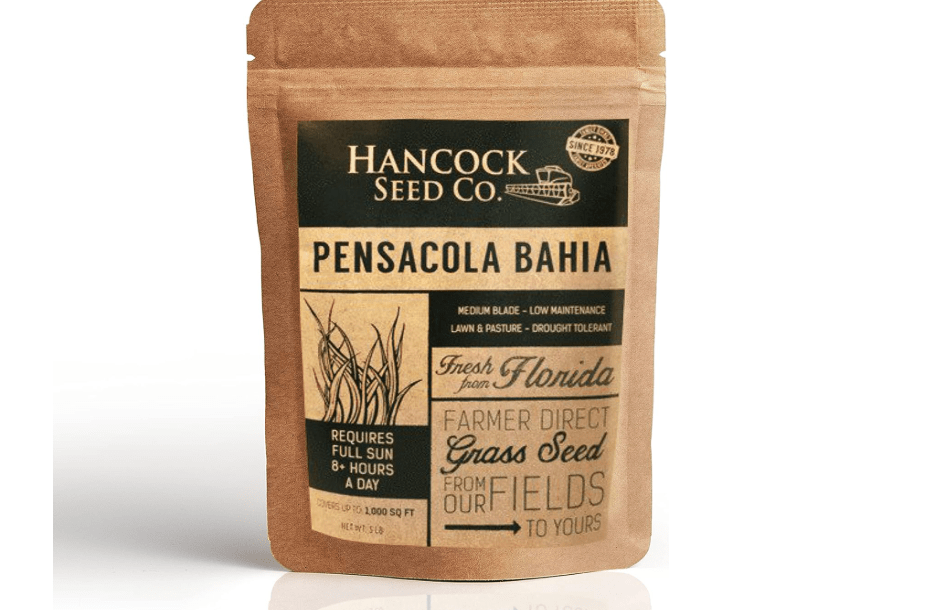 Hancock Raw Pensacola Bahia Grass Seeds for Lawn and Pastures with Sandy Soil & Warm Climates