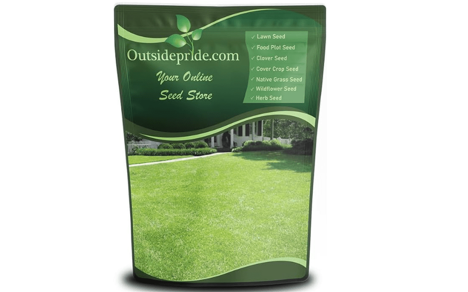 Outsidepride Centipede Grass Seed - 1 Lb Slow Growing, Shade & Drought Tolerant, Coarse Leaved Warm Season General Purpose Turf Grass Seed,