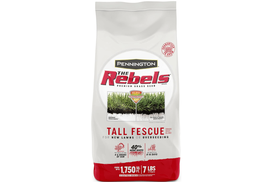 Pennington The Rebels Tall Fescue Grass Seeds for Lawn, 7 lb | Grass seed shade, shade tolerant grass, 4 to 6 hours of sunlight, heavy traffic durability