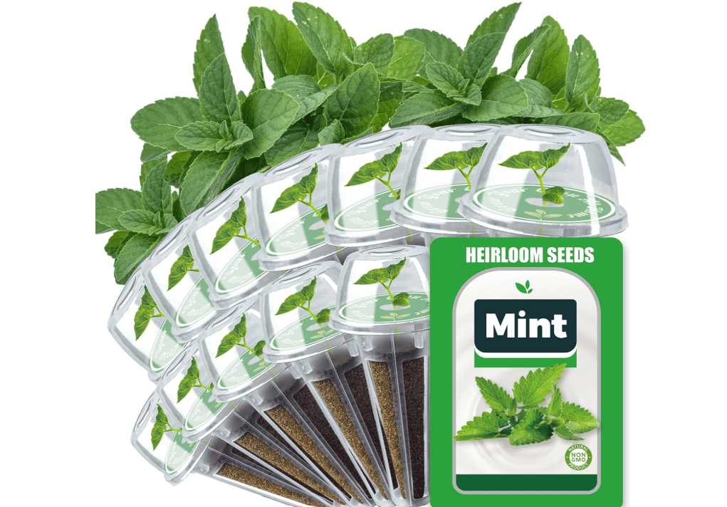 Mint Seed Pods for All Hydroponics Growing Systems, 12 Pods Herb Kit with Seeds of Peppermint, Grow Your Own Herb Garden at Home