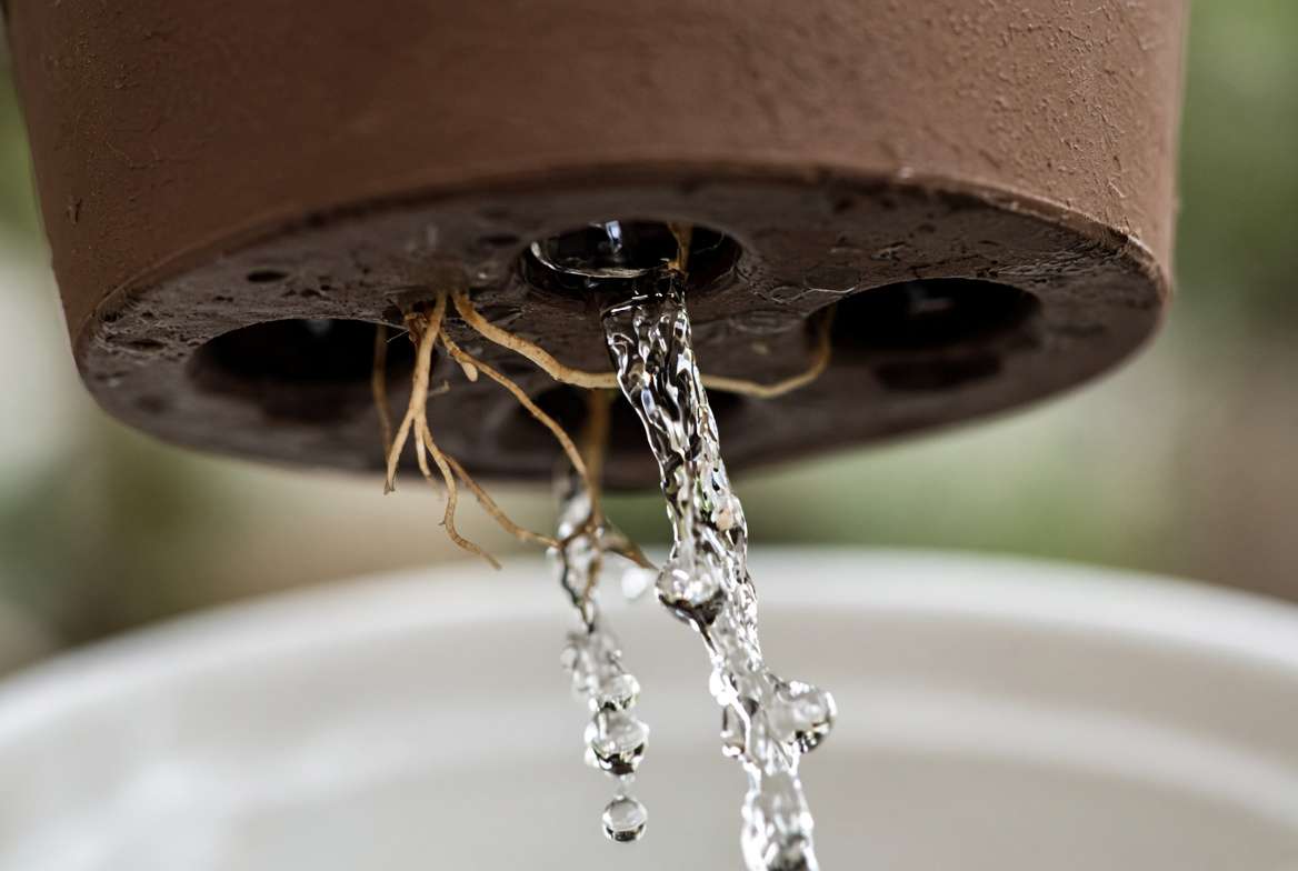 Macro photograph of clear water flowing freely from a pot's drainage hole during a soil flush.