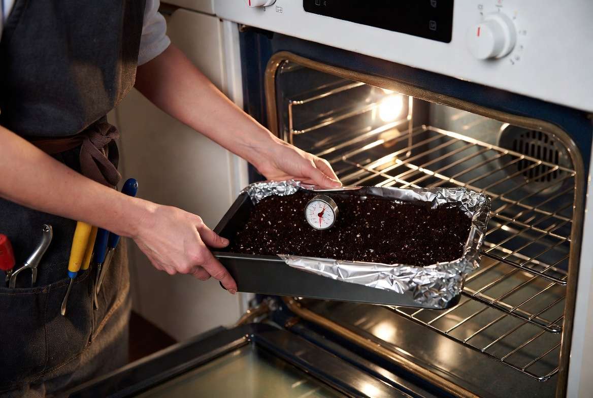 Gardener in an apron placing a foil-covered pan of moist succulent soil into an oven for heat sterilization.