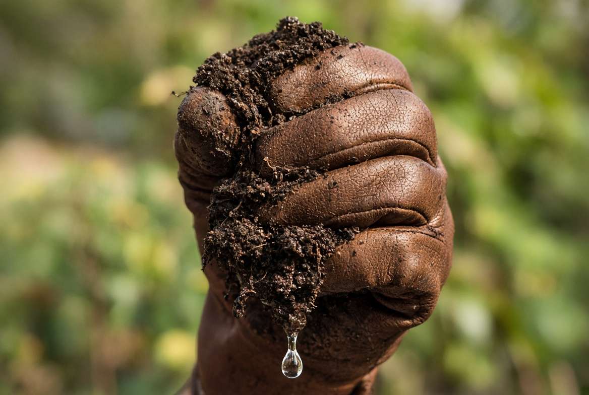 A detailed view of a gloved hand performing the squeeze test to check for perfect soil mix structure and moisture retention.