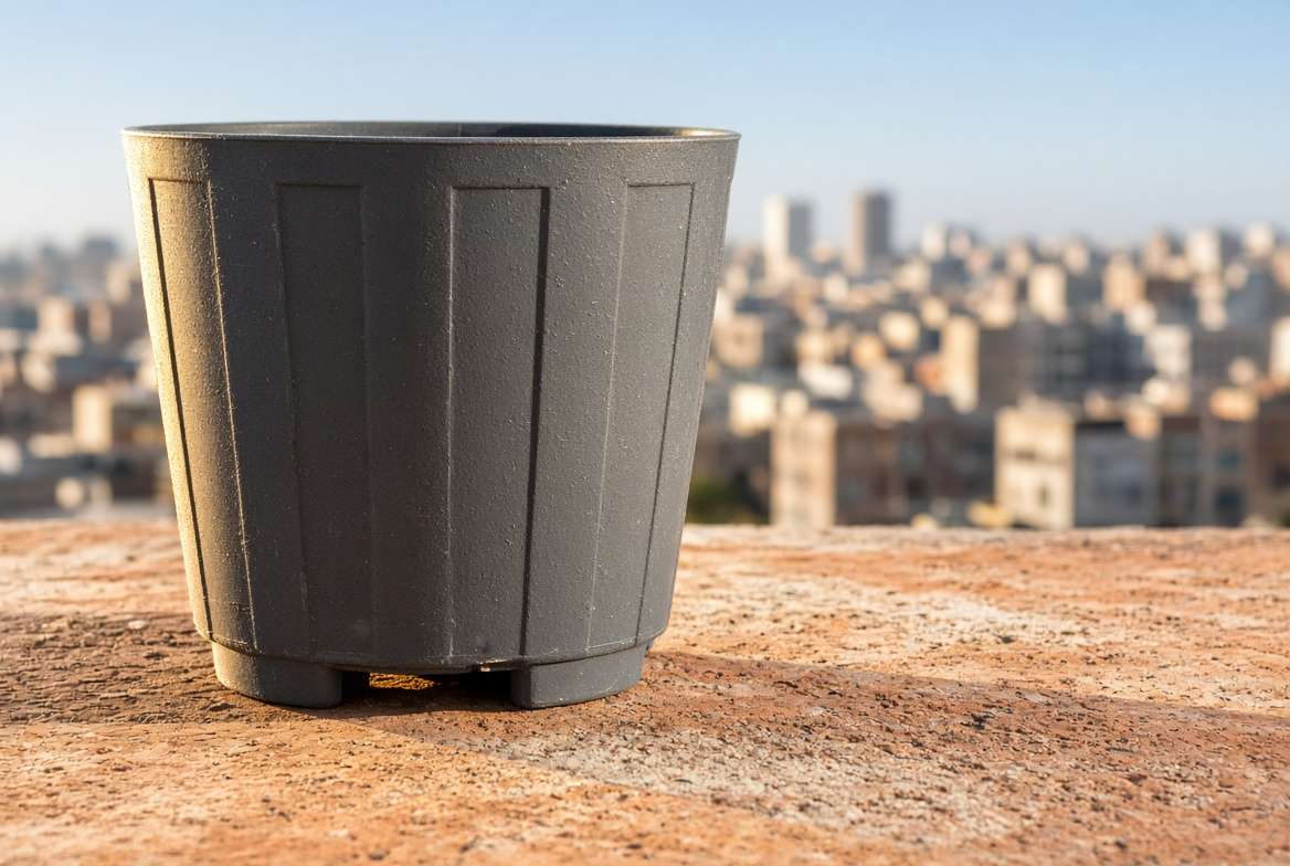 A potted vegetable container exposed to direct sunlight and air circulation on a warm balcony.