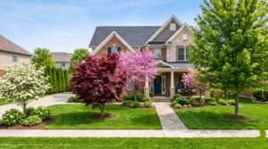 best front lawn trees
