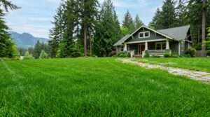 best grass seed for pacific northwest