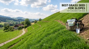 best grass seed for slopes