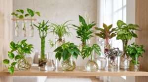 best plants to grow in water
