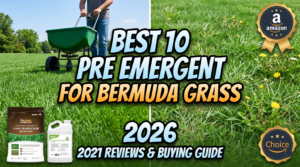 best pre emergent for bermuda grass