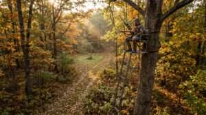 best rated ladder tree stands