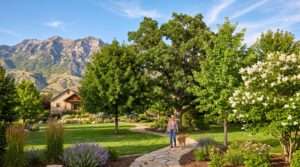 best shade trees for utah