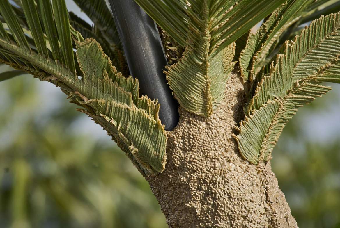 Close-up texture of UV-protected polyethylene plastic fronds on a high-quality artificial outdoor palm tree.