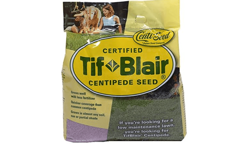 TifBlair Centipede Grass Seed (5 Lb.) Direct from The Farm