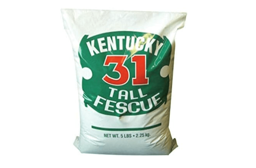 
Barenbrug Kentucky 31 Tall Fescue Grass Seed 1000 Sq. Ft. Polybagged
