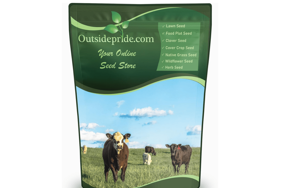 Outsidepride Perennial Ryegrass Seeds - 50 lb. Hardy & Fast-Growing, Cover Crop Seeds for Planting Glossy Dark Green Grass Leaves, Ideal for Hay