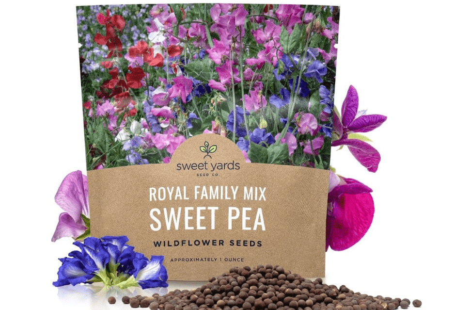 Sweet Pea Seeds Royal Mix - Bulk 1 Ounce Packet - Over 350 Seeds - Large Fragrant Lavender, Purple, Red, Pink and White Blooms