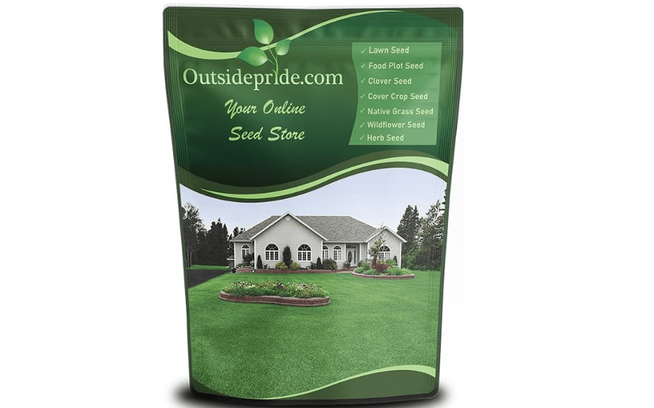  Outsidepride Perennial Buffalo Grass Seed - 2 lbs Heat & Drought Tolerant, Low Maintenance, Warm Season Dense Turf Grass Seed for Lawn